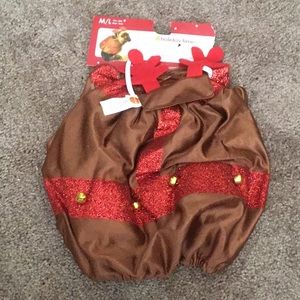 Dog pet holiday costume